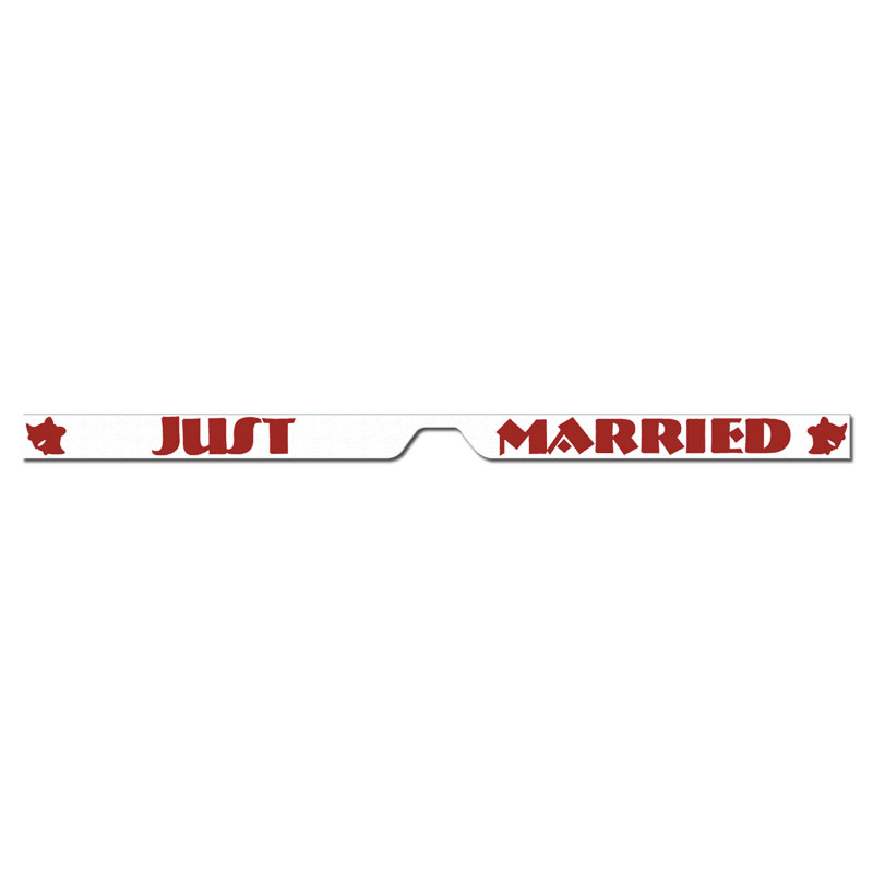 CHA0008 Lincoln Town Car Just Married Magnetic Sign