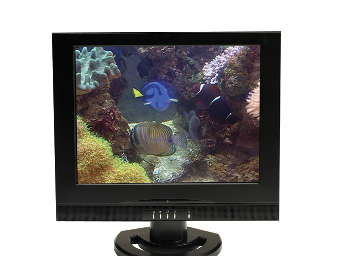 CHA1424 Video Aquarium DVD