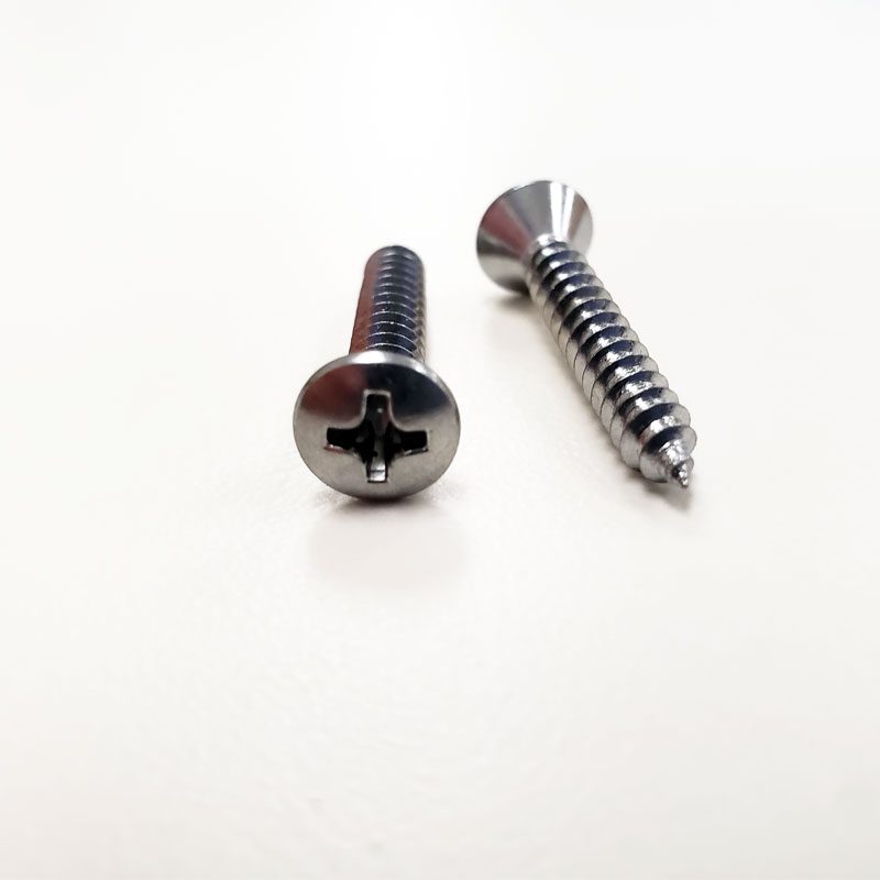 Two metal screws on a white surface, one lying down and one standing.